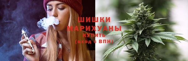 индика Беломорск
