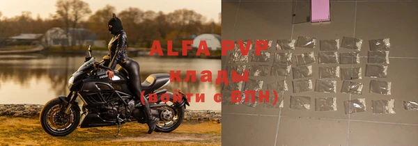 индика Беломорск