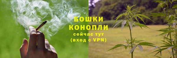 каннабис Белокуриха