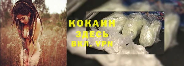 индика Беломорск