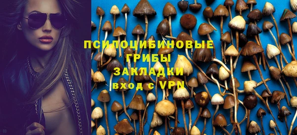 твердый Покровск