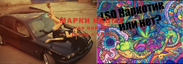 индика Беломорск