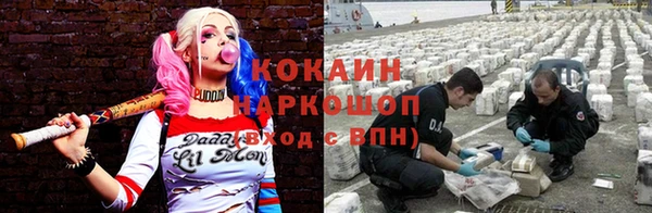 каннабис Белокуриха