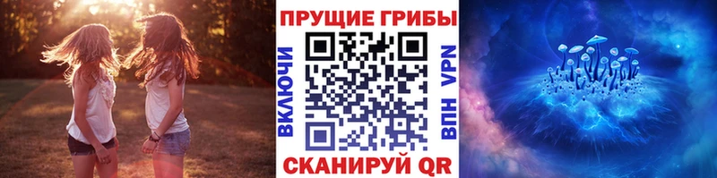 mega сайт Тулун shop телеграм Галлюциногенные грибы Magic Shrooms